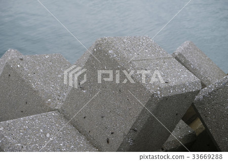 Tetrapod Tetrapod 33669288