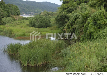 鄉村風景照片素材 33669290