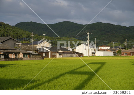 稻田和街景照片素材 稻田和街景照片素材 33669291