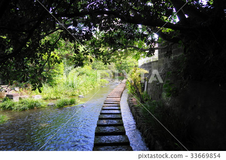 八月三島57號大北河步道·根貝河水上樂園 八月三島57號大北河步道·根貝河水上樂園 33669854