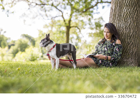 woman with terrier dog outside at the park woman with terrier dog outside at the park 33670472