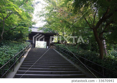 鎌倉市Enkakuji寺 33670941
