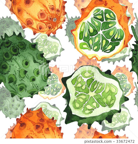 Exotic kiwano wild fruit pattern in a watercolor 33672472