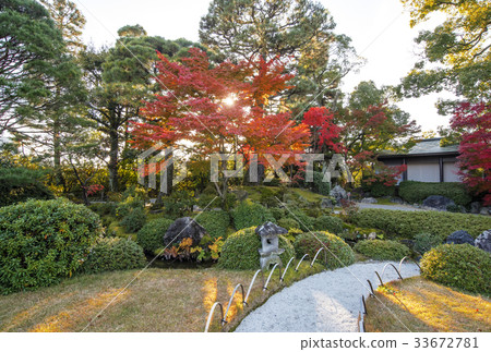 Kyoto sightseeing in autumn Autumn in the south of the castle 33672781