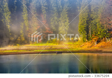 morning fog on the lake in spruce forest morning fog on the lake in spruce forest 33675204