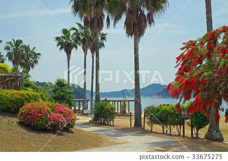 Landscape of the beach of prefectural people 33675275