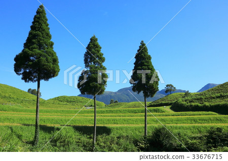 Autumn of Ogida 33676715