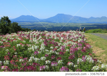 Cremeo場和阿蘇山 Cremeo場和阿蘇山 33676718