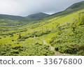 mountain scenery in Carpathians 33676800