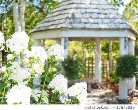 Scenery of English garden Scenery of English garden 33676826