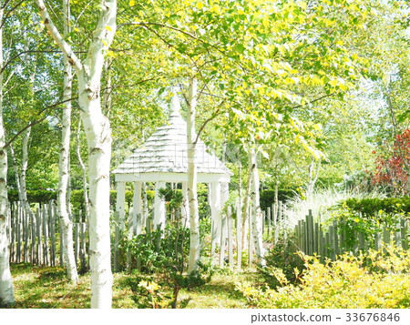 Scenery of English garden 33676846