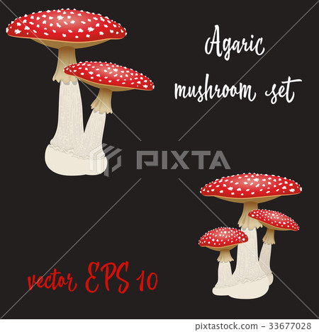 Set of three fly agaric mushrooms isolated   33677028