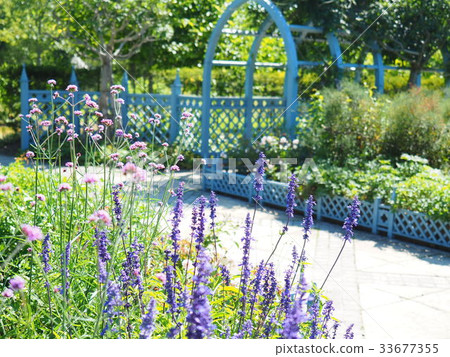 Scenery of English garden 33677355