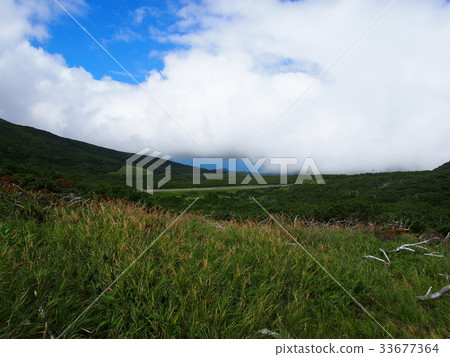北海道的絕佳景色 北海道的絕佳景色 33677364