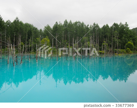 北海道的絕佳景色 北海道的絕佳景色 33677369