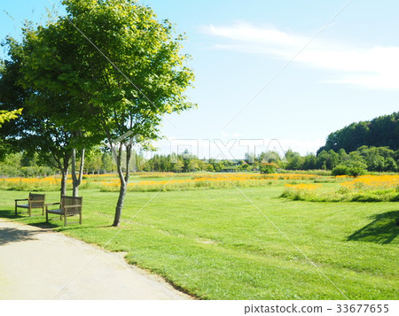 View of Hokkaido 33677655