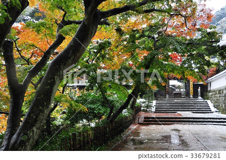 在Kita Kamakura Engakuji寺廟的秋葉＆雪場面 33679281