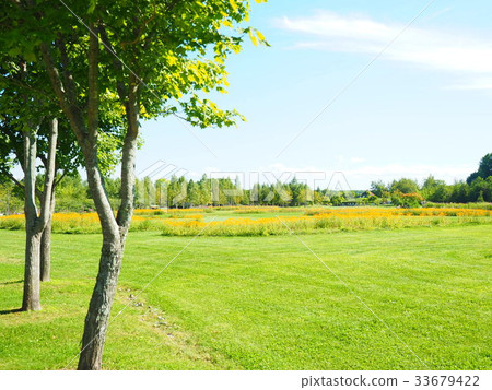 View of Hokkaido 33679422