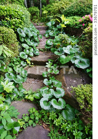 Green garden 33679701