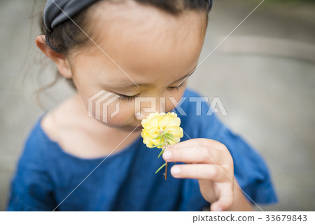 Girl smelling the smell of yellow flowers Girl smelling the smell of yellow flowers 33679843