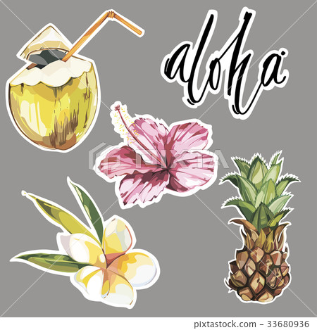 Aloha. Set of cute tropical stickers with flowers Aloha. Set of cute tropical stickers with flowers 33680936