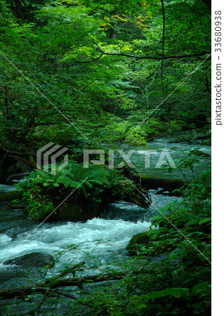 The landscape of the Oirase Stream The landscape of the Oirase Stream 33680938