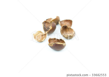 chestnuts shell isolated on white background chestnuts shell isolated on white background 33682553