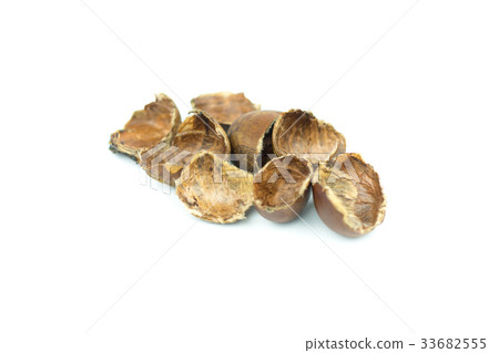 chestnuts shell isolated on white background chestnuts shell isolated on white background 33682555