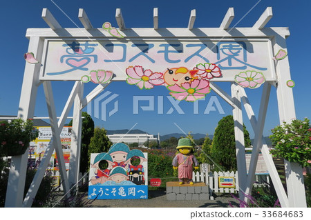Dream cosmos garden Dream cosmos garden 33684683