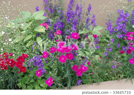 御手洗私人住宅庭院技巧花 33685710