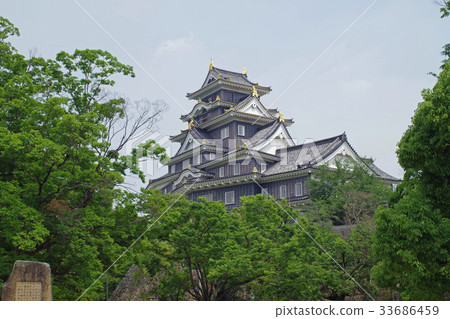 岡山城堡的Tenshi 33686459