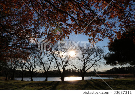 Fall landscape 33687311