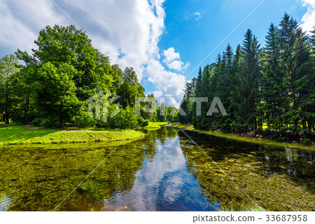 Overgrown pond in the park, surrounded by trees 33687958