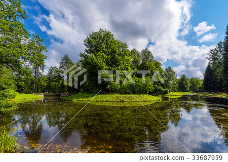 Overgrown pond in the park, surrounded by trees 33687959