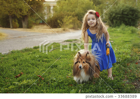 Little girl with a dog Sheltie Little girl with a dog Sheltie 33688389