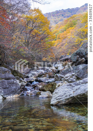 Piagol, Jiri Mountain, Gurye-gun, Jeonnam Piagol, Jiri Mountain, Gurye-gun, Jeonnam 33689927
