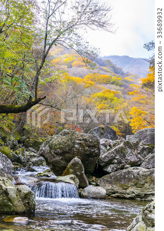 Piagol, Jiri Mountain, Gurye-gun, Jeonnam 33689932