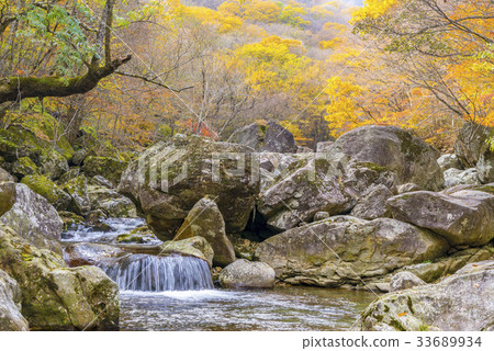 Piagol, Jiri Mountain, Gurye-gun, Jeonnam 33689934