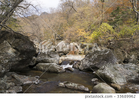 Piagol, Jiri Mountain, Gurye-gun, Jeonnam 33689962