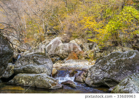 Piagol, Jiri Mountain, Gurye-gun, Jeonnam 33689963