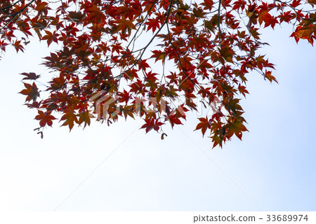 愛爾蘭，求兒郡，吉里山，Piagol 33689974