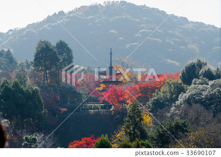 Fall of Kiyomizu Temple 33690107
