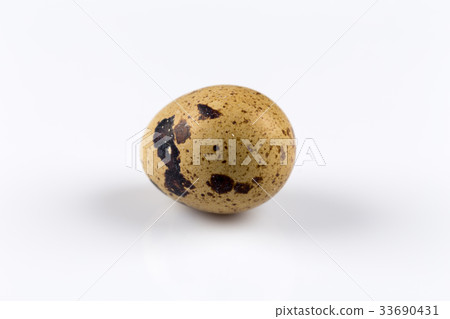 One quail egg 33690431
