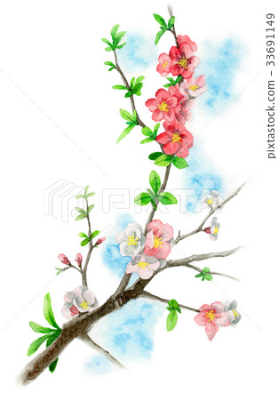 Flower blooming on a branch of a xylophone 33691149