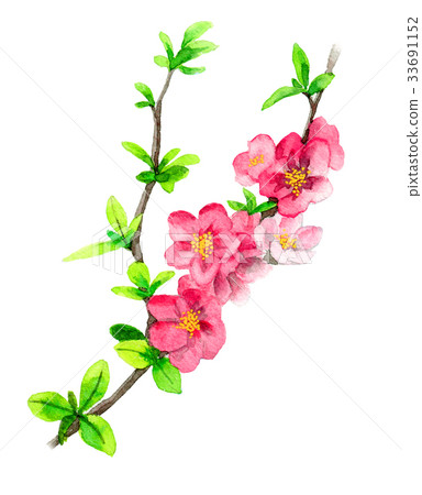 Flower blooming on a branch of a xylophone 33691152