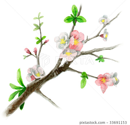 Flower blooming on a branch of a xylophone 33691153