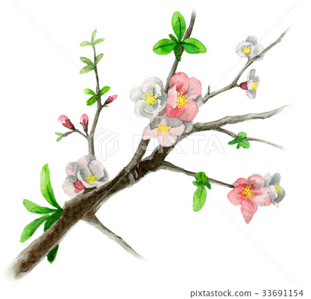 Flower blooming on a branch of a xylophone Flower blooming on a branch of a xylophone 33691154