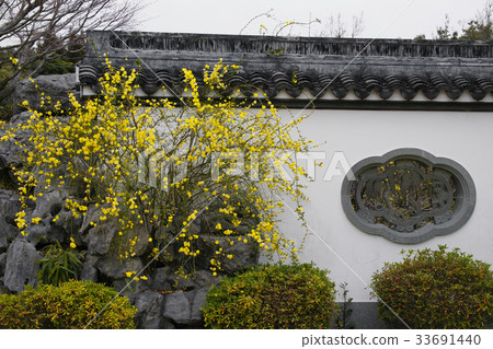 Yunnan Wu Mei 33691440