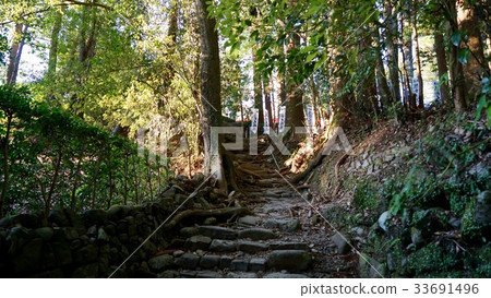 Head towards Kumano Motomiya Taisha from Kumano Kodo 33691496
