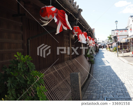 Shirakabe鎮的遊行 33691558